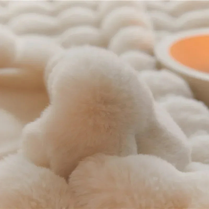 Warm Fur Plush Blanket